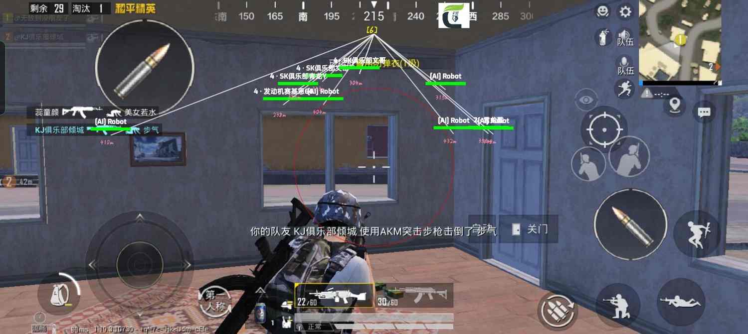 和平精英辅助：游戏公平性与技术挑战